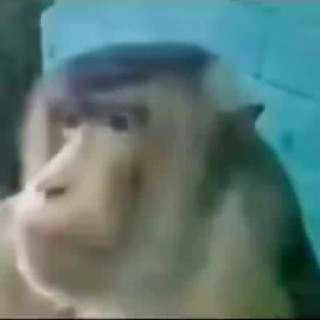 Логотип @cmexuek90 - NO NAME