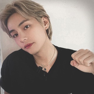 Логотип @cmsvdn - dn collecting