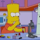 Логотип @cmtsciencechat - CMT SCIENCE CHAT