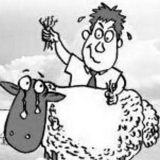 Логотип @cn_coupon - 羊毛党--TG支部 (薅死羊不偿命系列)🐑🐑🐑