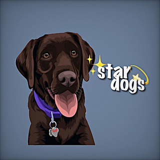 Логотип @cnesgnae - ✨𝙨𝙩𝙖𝙧 𝙙𝙤𝙜𝙨✨