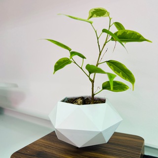 Логотип @cnitrostok - МБОУ ДО "ЦНИТ "Росток"