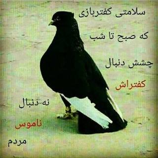 Логотип @co_m_co_m - خرید و فروش حیوانات