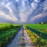 Логотип @coachnikamakarovskaya - НИКА МАКАРОВСКАЯ.ПУТЬ ЯСНОСТИ.