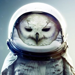 Логотип @coba_space - СОВА космическая