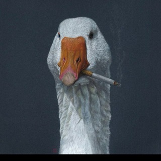 Логотип @cobainshotgun - Депрешн & суисайд