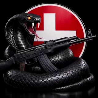 Логотип @cobra_tacticall - ЦНБ КОБРА