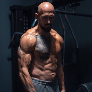 Логотип @cobratatesofficial - Tate