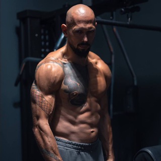 Логотип @cobratatetalk - Andrew Tate