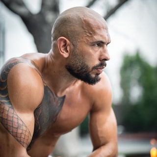 Логотип @cobratateupdate - Tate