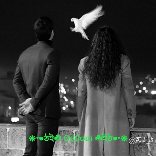 Логотип @cocaina_beguborimsan - ❋•●ঠই☘ BᗴģᑌᗷᝪᖇᏆᗰ ֆ ☘ইঠ●•❋