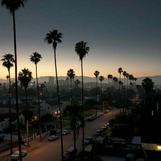 Логотип @cocaina_muzz_chanel - ᶜ ᴼ ᶜ ᴬ ᴵ ᴺ ᴱ--ᴹ ᵁ ᶻ ᴵᴷ 🌿