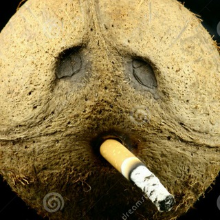 Логотип @cocofumao - Coco Fumao✌️