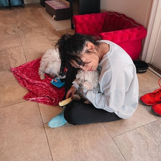 Логотип @codesfam - ˖⑊🧚🏻ଓ˚ 𝖺𝗅𝗂𝗀𝗁𝗍 𝗆𝗈𝗍𝗂𝗈𝗇.