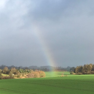 Логотип @codesofjoy - Codes of Joy🧚🏽‍♀️🌈🌷Herzensfreude