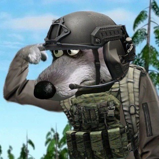 Логотип @codmf1st - Что значат эти цифры, Мейсон?!