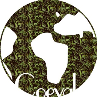 Логотип @coevalchat - Coeval Chat