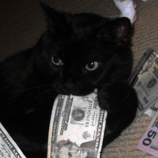 Логотип @cofscm - 𝗰𝗼𝗳𝗲𝗲𝗸✨