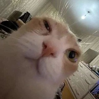 Логотип @coji9ihka - 😡СОЛЯНКА😡