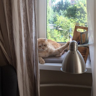 Логотип @cold_ass_hunky - Антонина щас пояснит