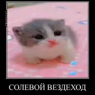 Логотип @colevoyvezdehod - Солевой Вездеход