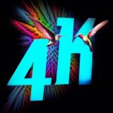 Логотип @colibrivideo_4k_bot - Colibri 4K ФОТО | ВИДЕО