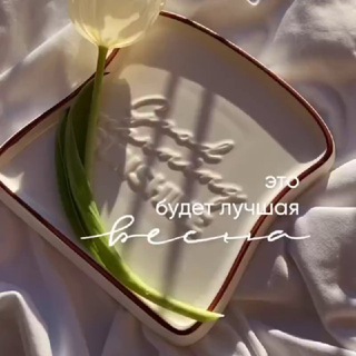 Логотип @collorsoflife - Aesthetics vibe | Эстетика