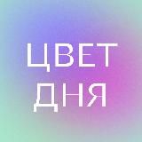 Логотип @colouroftheday - Цвет дня