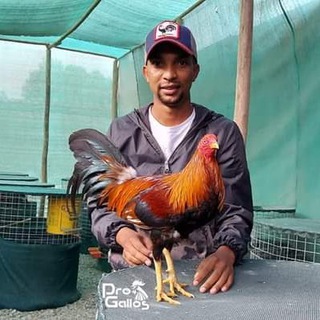 Hacienda Alaia 🇩🇴