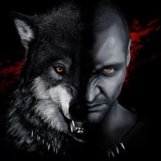 Логотип @combatlogic - Боевая логика🐺