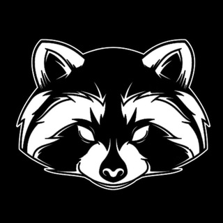 Логотип @combatraccoon2021 - 🦝Combat Raccoon🦝