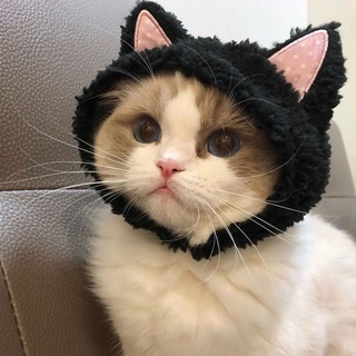 Логотип @comfor_tikss - ♡Кᴏʍɸᴏᴩᴛный ᴀᴋᴋᴀунᴛ♡