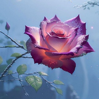 Логотип @comilfo_enik - 𝘾𝙤𝙢𝙞𝙡𝙛𝙤