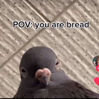 Логотип @commentsssssssssssssssss - смотри, какой тикток нашла Chat