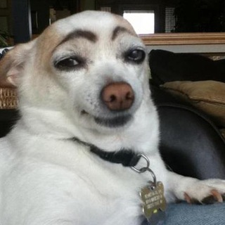 Логотип @complimento - Спонтанный комплимент