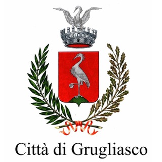 Логотип @comune_grugliasco - InGrugliasco