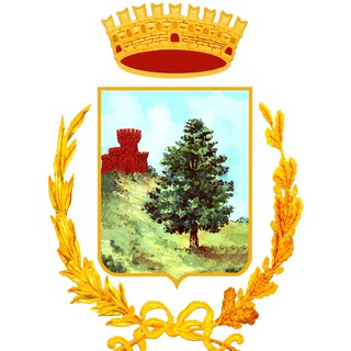 Логотип @comunevalledolmo - COMUNE VALLEDOLMO