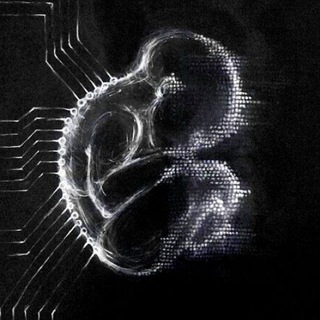 Логотип @conceptsb - concept. | vibe series