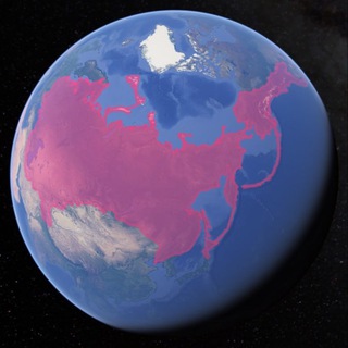 Логотип @conceptualnews - Концептуальные новости