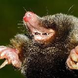 Логотип @concrete_empire - Бетонная империя