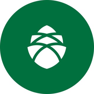 Логотип @conomica_creditors - Conomica | Деньги для бизнеса