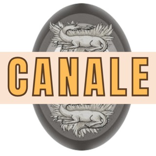 Логотип @consulentisport - SPORT e TERZO SETTORE