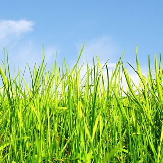 Логотип @contacttmharitonovgm - Контакт с Тонким Миром