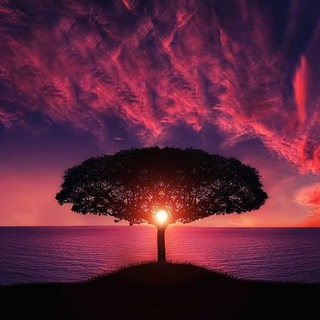 Логотип @conteocanal - CONTEO CANAL