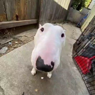 Логотип @conway671games - CONWAY