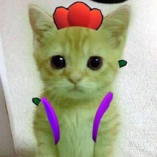 Логотип @coolteame - Nulls brawl stars