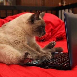 Логотип @copywritingnasty - Копирайтинг / печатаем...📝