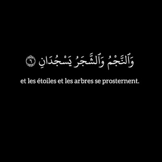 Логотип @coranlive - ꧁ ❀