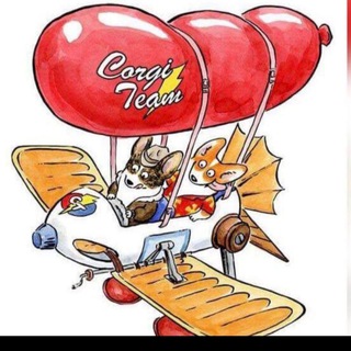 Логотип @corgi_team - Corgi team (Корги тим)