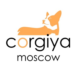 Логотип @corgiya_moscow - Corgiya™ Info